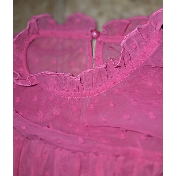 Shein Pink Swiss Polka Dots Sheer Lined Blouse Women's M Ruffles Romantic - Picture 5 of 8